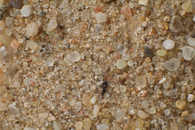 Nederland, Gelderland, Loenen, Vrijenbergspreng